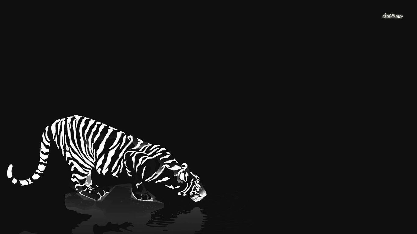 1366x768 Black and White Tiger wallpaper Art wallpaper