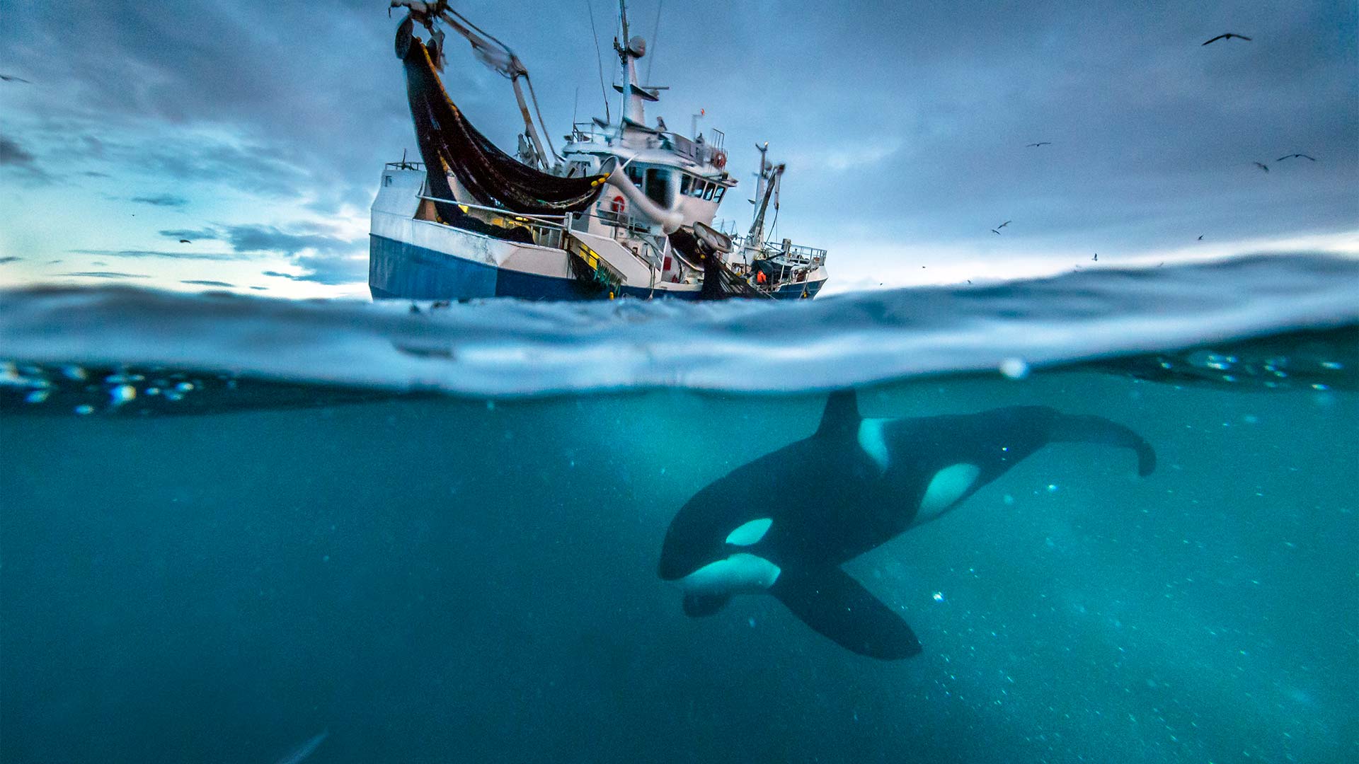 1920x1080 Our Blue Planet. Planet Earth: Blue Planet II
