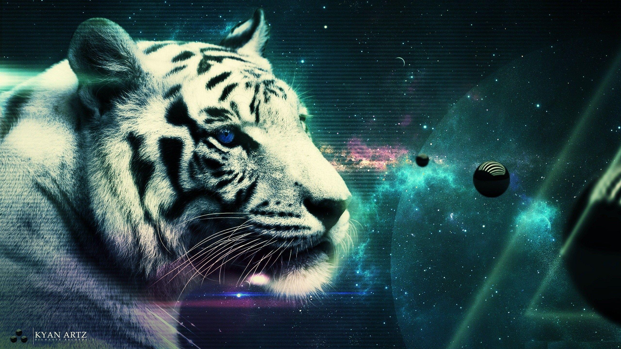 2560x1440 white tiger 2560x1440 wallpaper High Quality Wallpaper, High