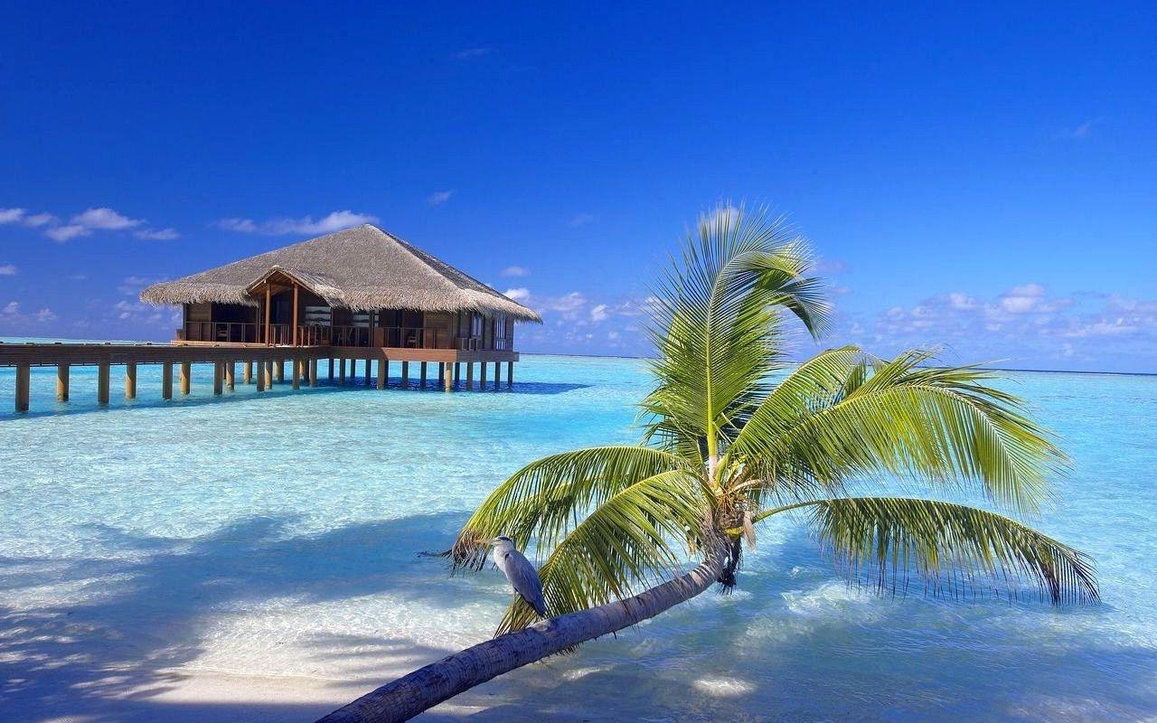 Maldives Sea Wallpapers - Top Free Maldives Sea Backgrounds ...