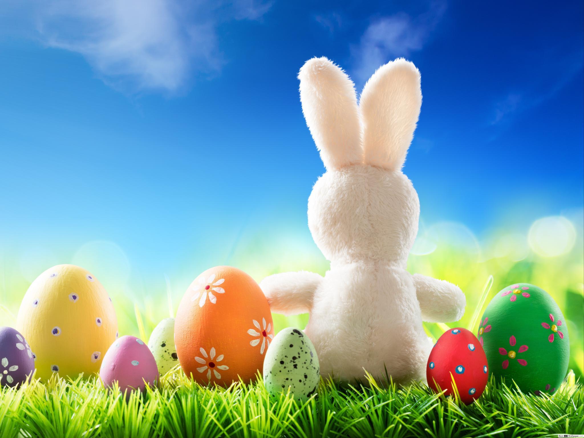 Easter Bunny Wallpapers - Top Free Easter Bunny Backgrounds ...