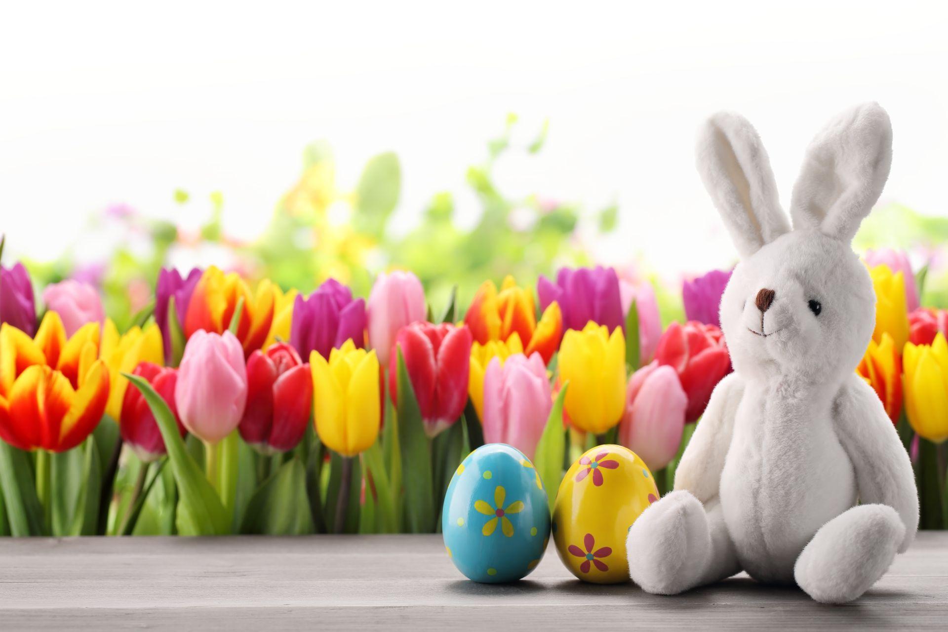 1920x1280 Easter Egg Wallpaper Free
