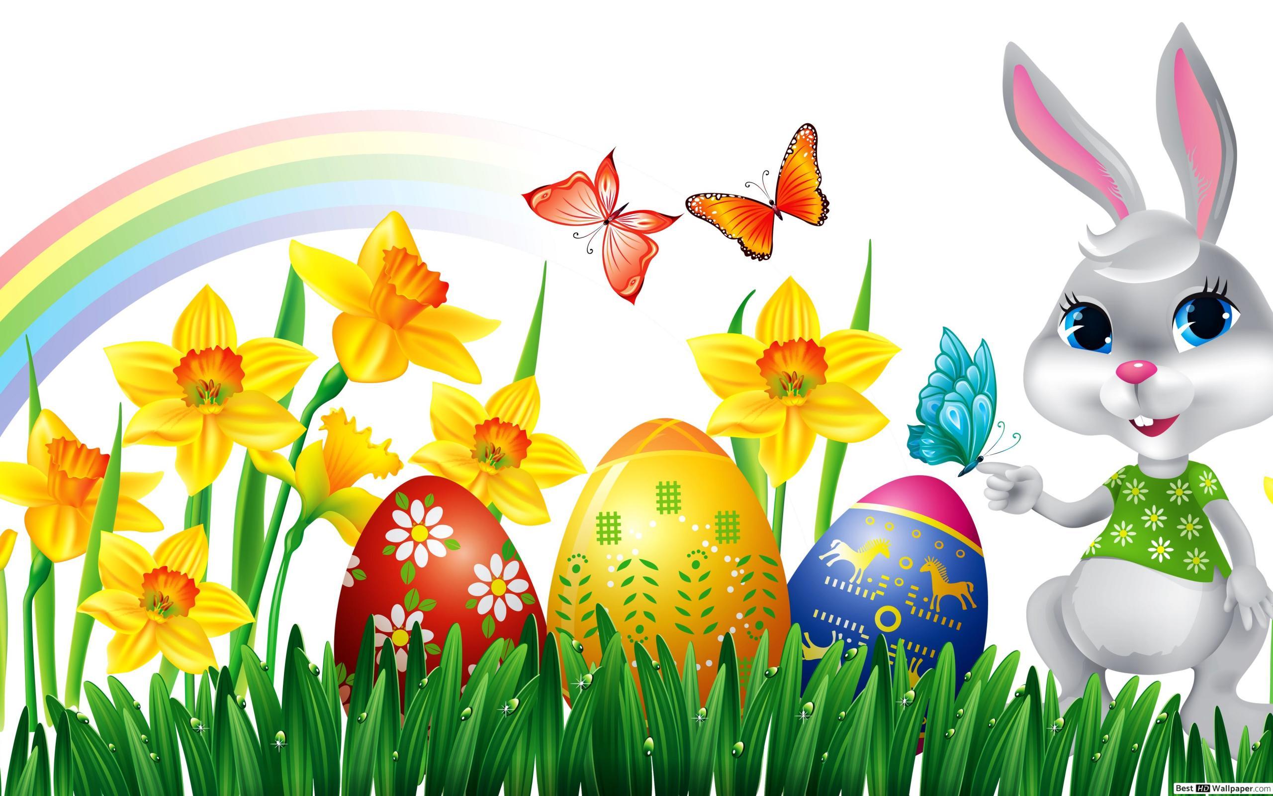 2560x1600 Easter Bunny Wallpaper Free HD Wallpaper