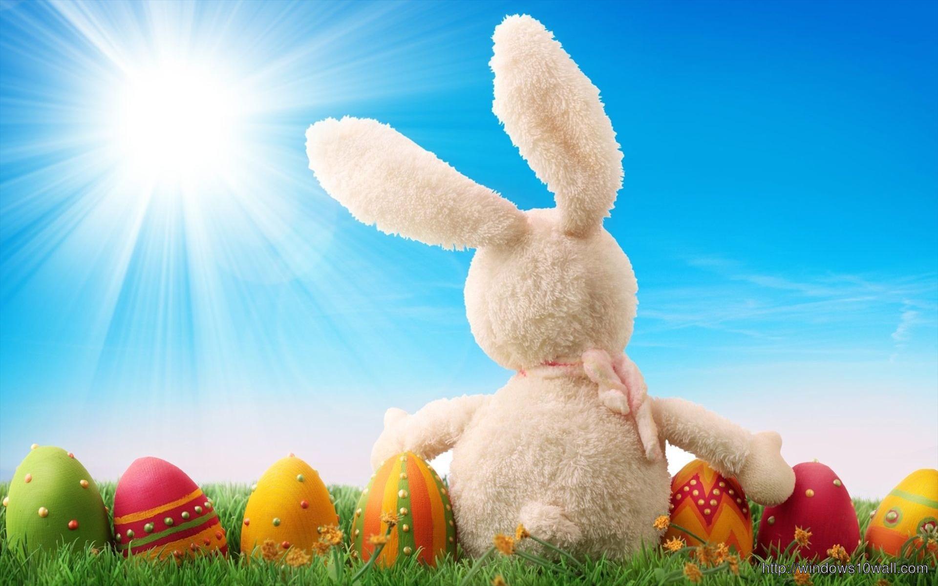 1920x1200 Easter Bunny Widescreen HD Wallpaper