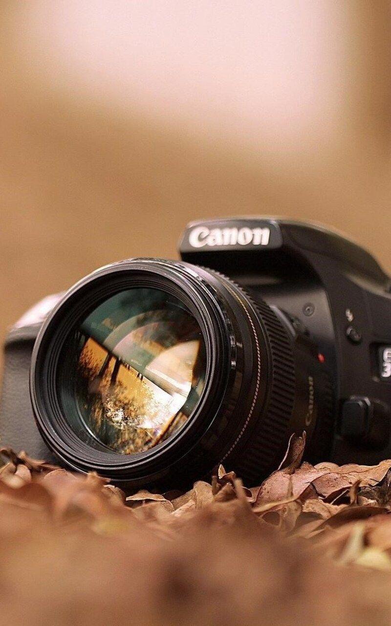 800x1280 Canon EOS 3D Nexus Samsung Galaxy Tab Note Android