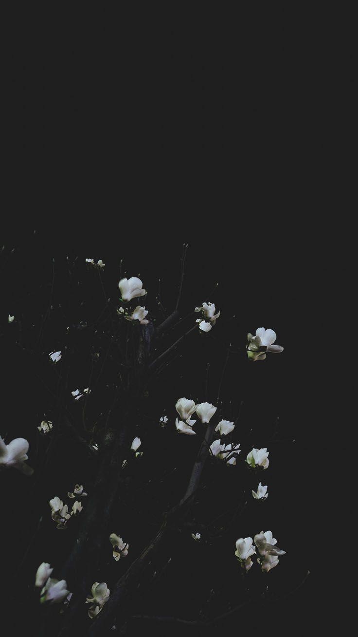 736x1308 Take a Chill Pill with 10 Mindful iPhone Wallpaper