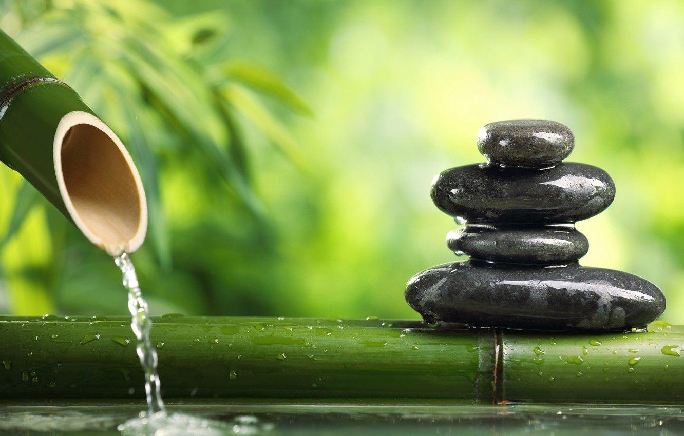 1332x850 Wallpaper water, stones, stems, calm, bamboo, blur, green, harmony