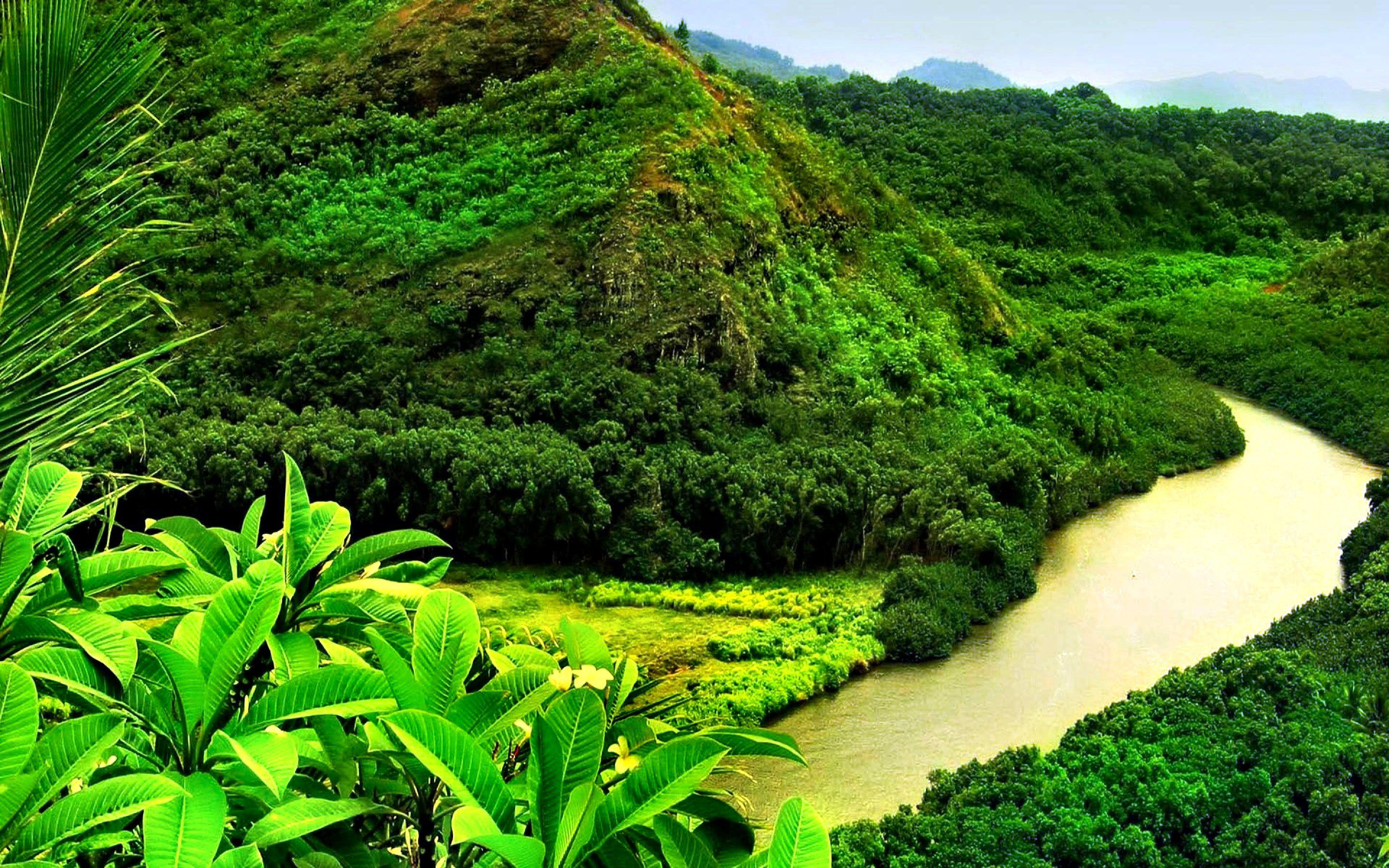 2880x1800 River Wallpaper 19 - [2880 x 1800]
