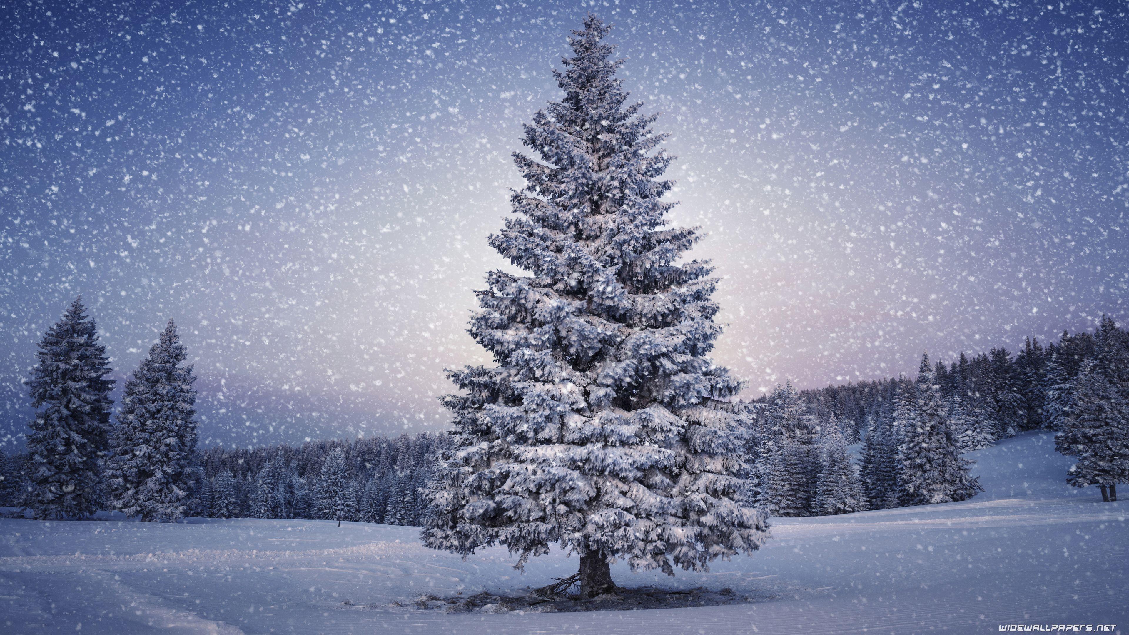 3840x2160 Winter desktop wallpaper 4K Ultra HD