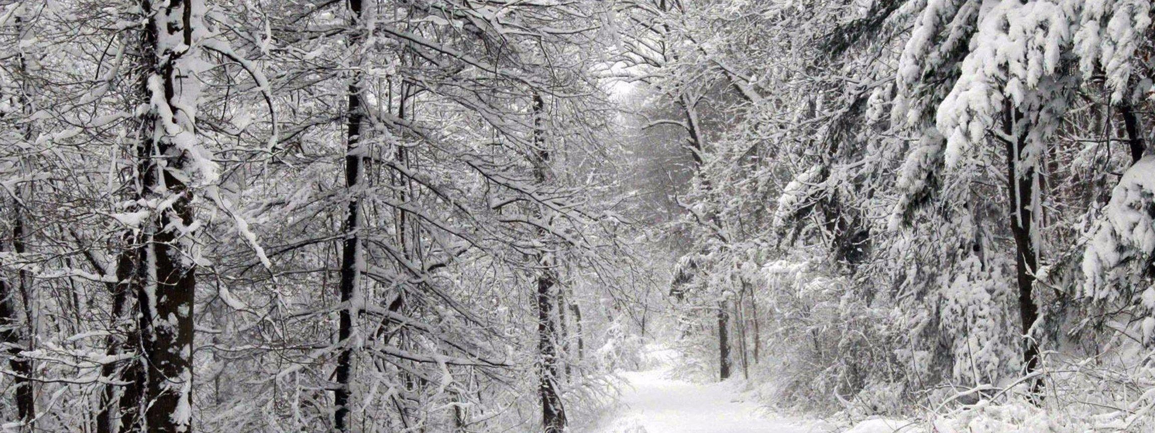 2304x864 Amazing Snow Storm 4K Winter Wallpaper Desktop Background