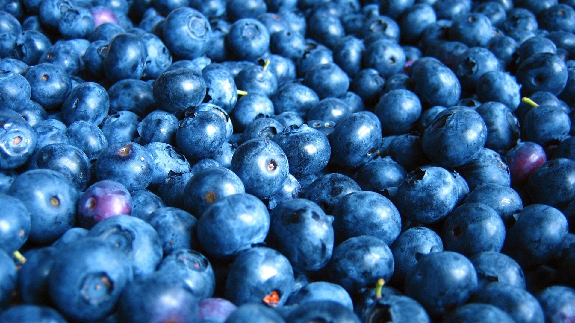 1920x1080 Download wallpaper 1920x1080 blueberry, berry, many HD background