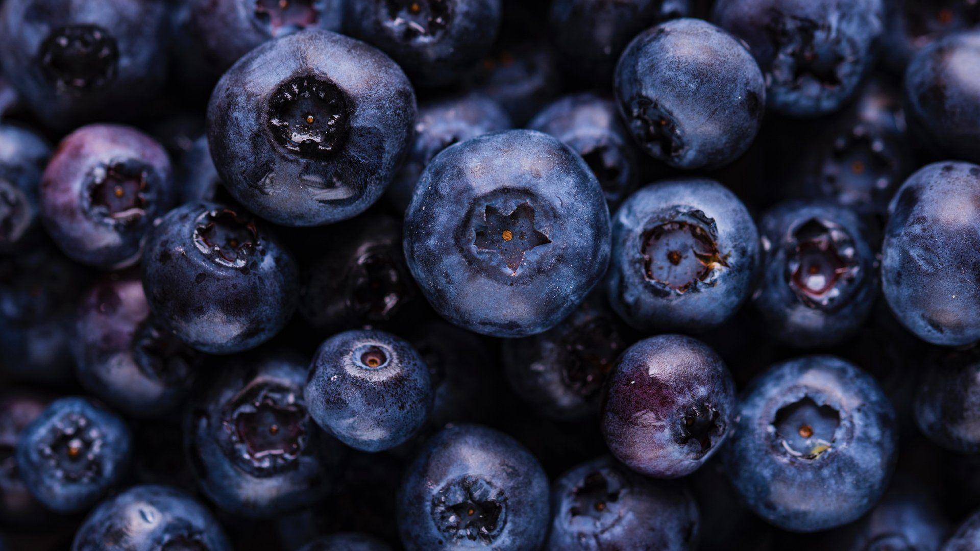 1920x1080 Blueberry Wallpaper