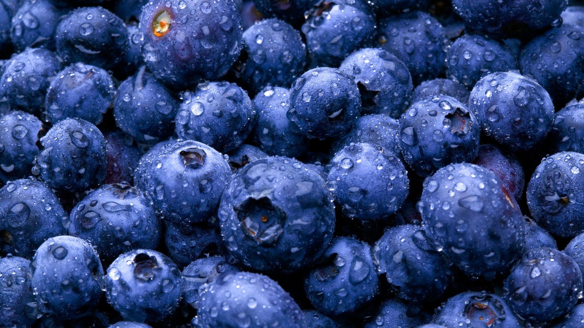 1920x1080 Blueberry HD Wallpaperx1080
