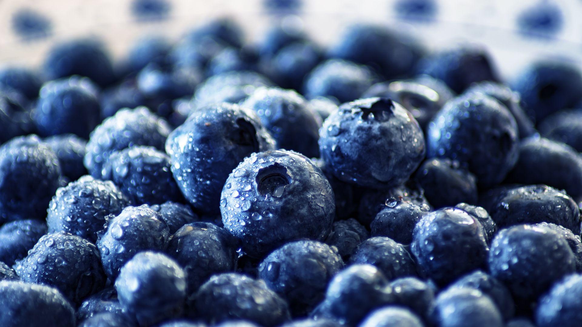 1920x1080 Download Blueberry, fresh, fruits, water drops, close up wallpaper