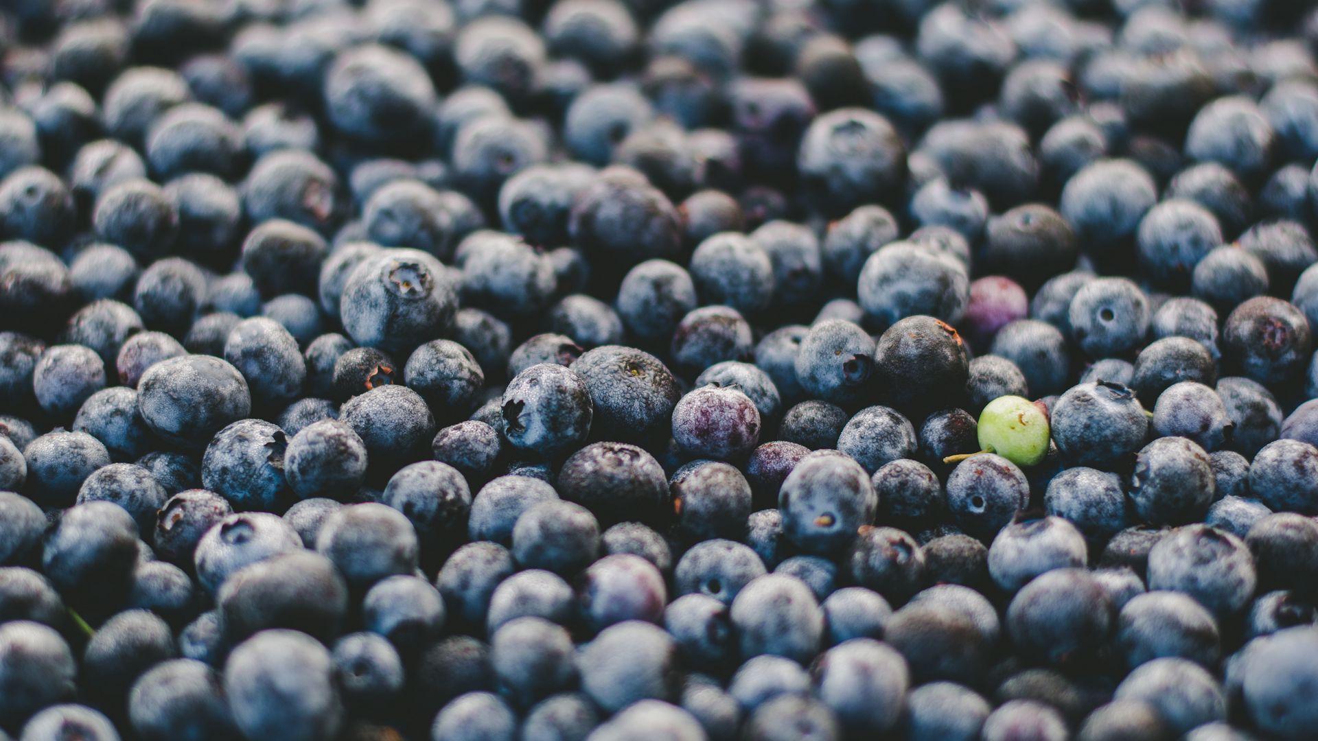 1920x1080 Download wallpaper 1920x1080 blueberry, berry, ripe, many full HD