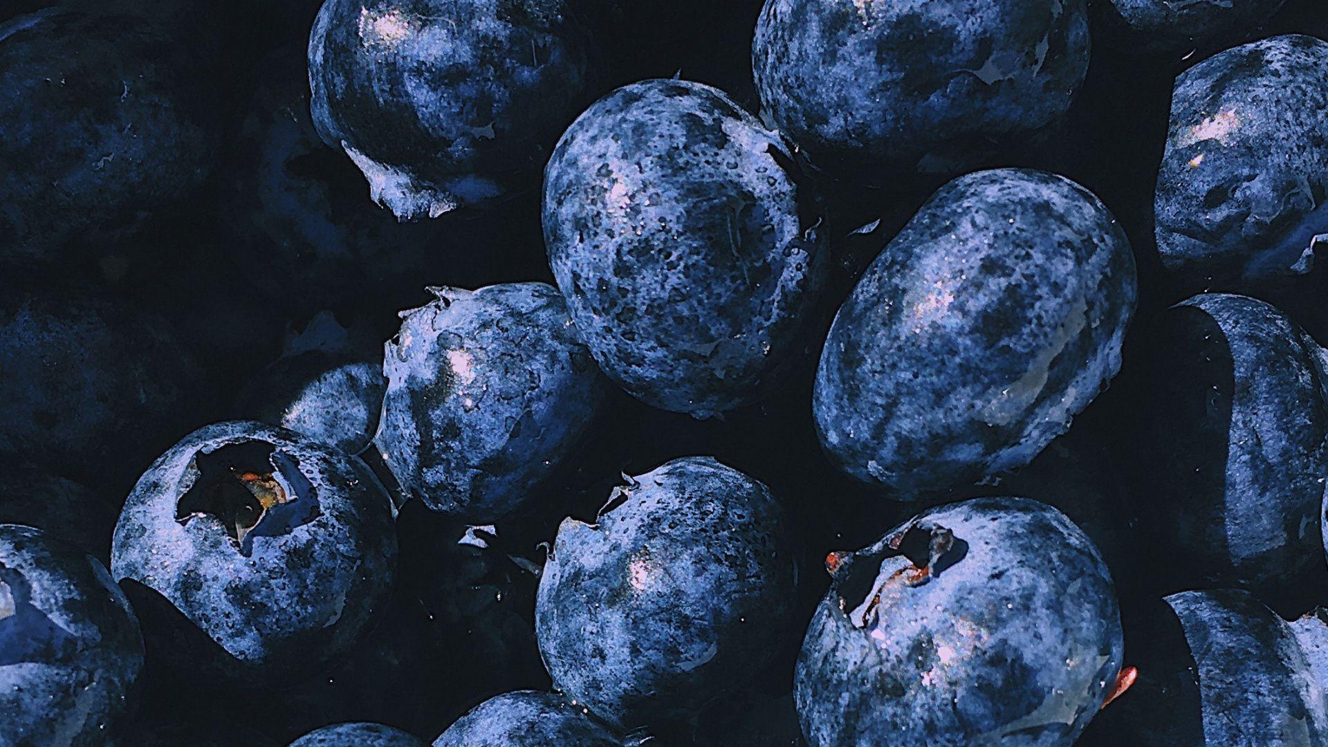 1920x1080 Download Blueberry, close up, fresh, fruits wallpaper, 1920x1080