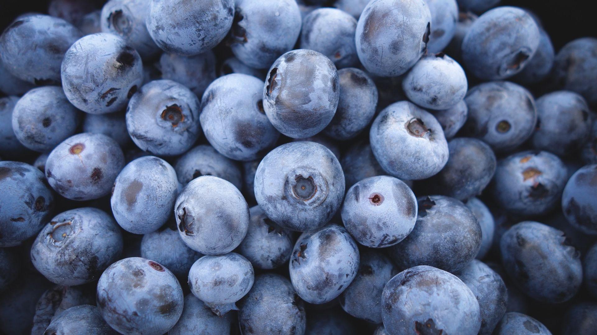 1920x1080 Blueberry Laptop Full HD 1080P HD 4k Wallpaper, Image