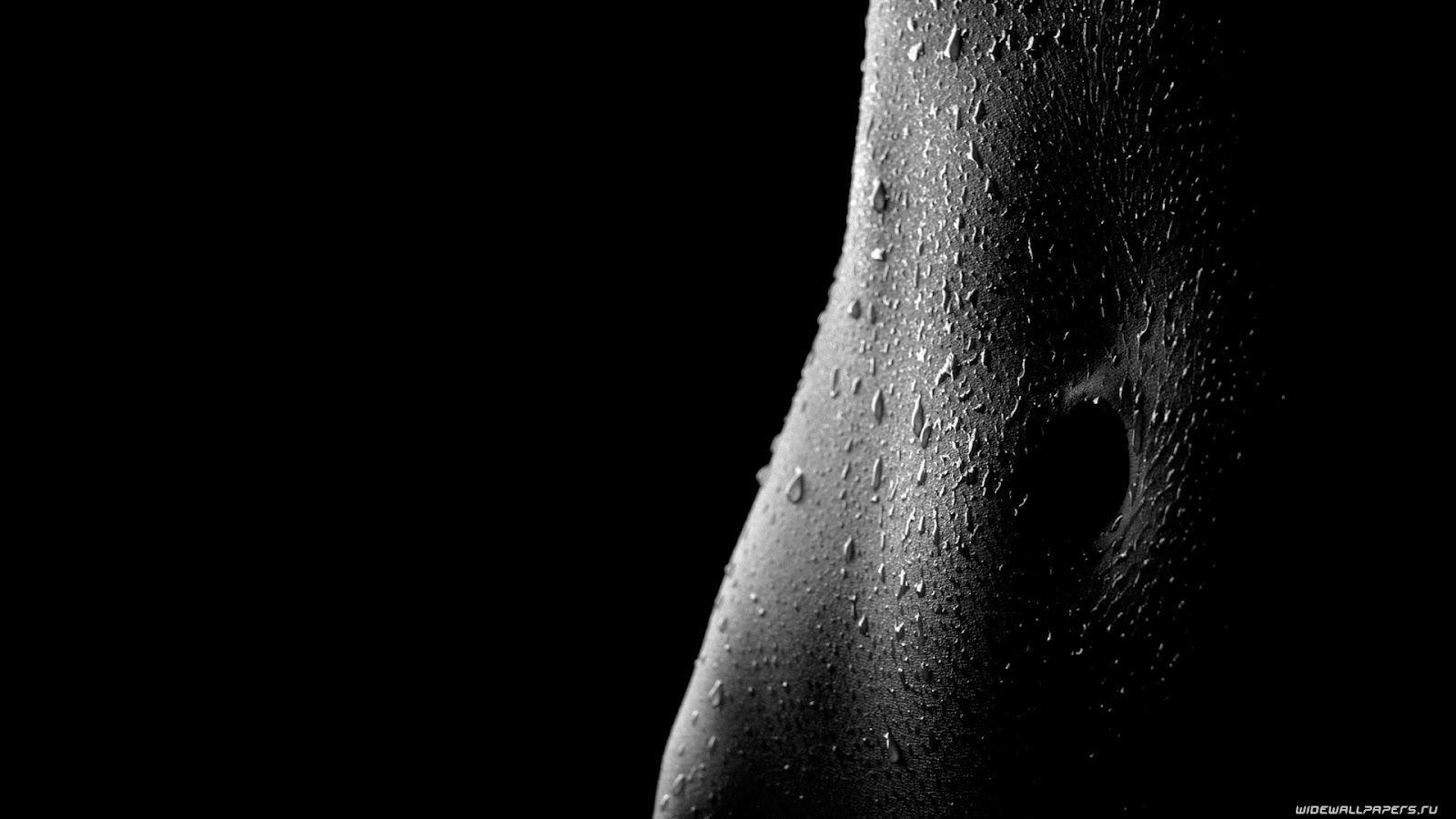 1600x900 Most Beautiful Free Wallpaper: Majestic Black Wallpaper : Black Beauty Collection Gallery1