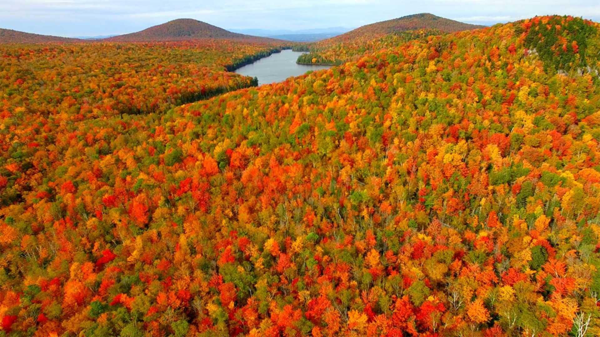 Vermont in Autumn HD Wallpapers - Top Free Vermont in Autumn HD