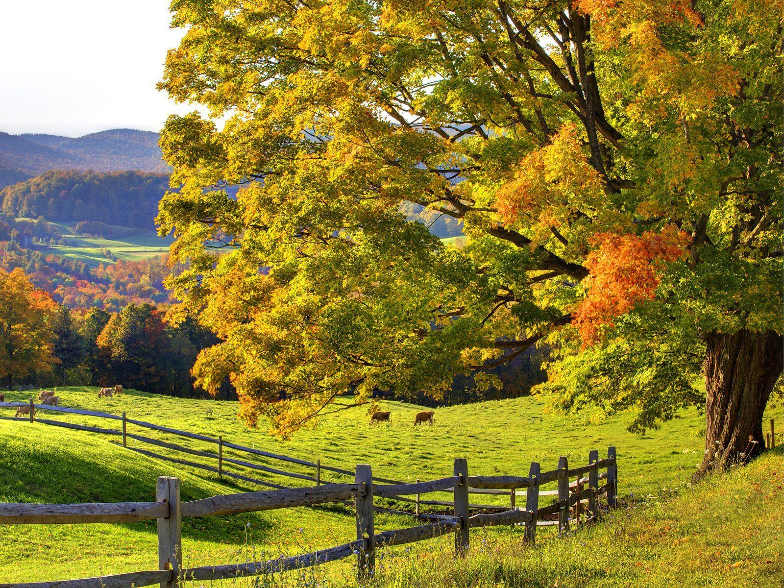 Autumn In Vermont Wallpapers - Top Free Autumn In Vermont Backgrounds ...