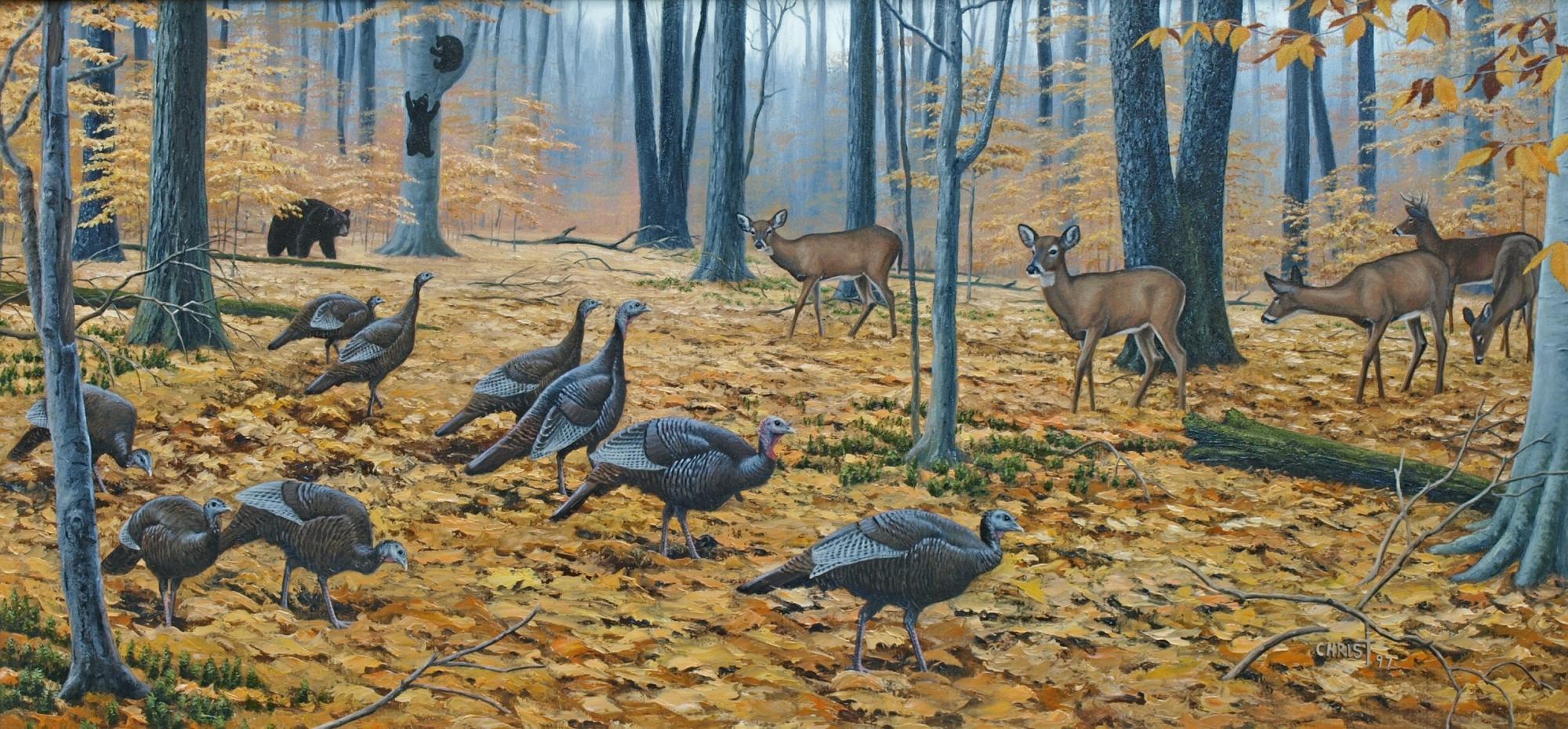 2000x930 Wild Turkey Wallpaper wallpaper Collections