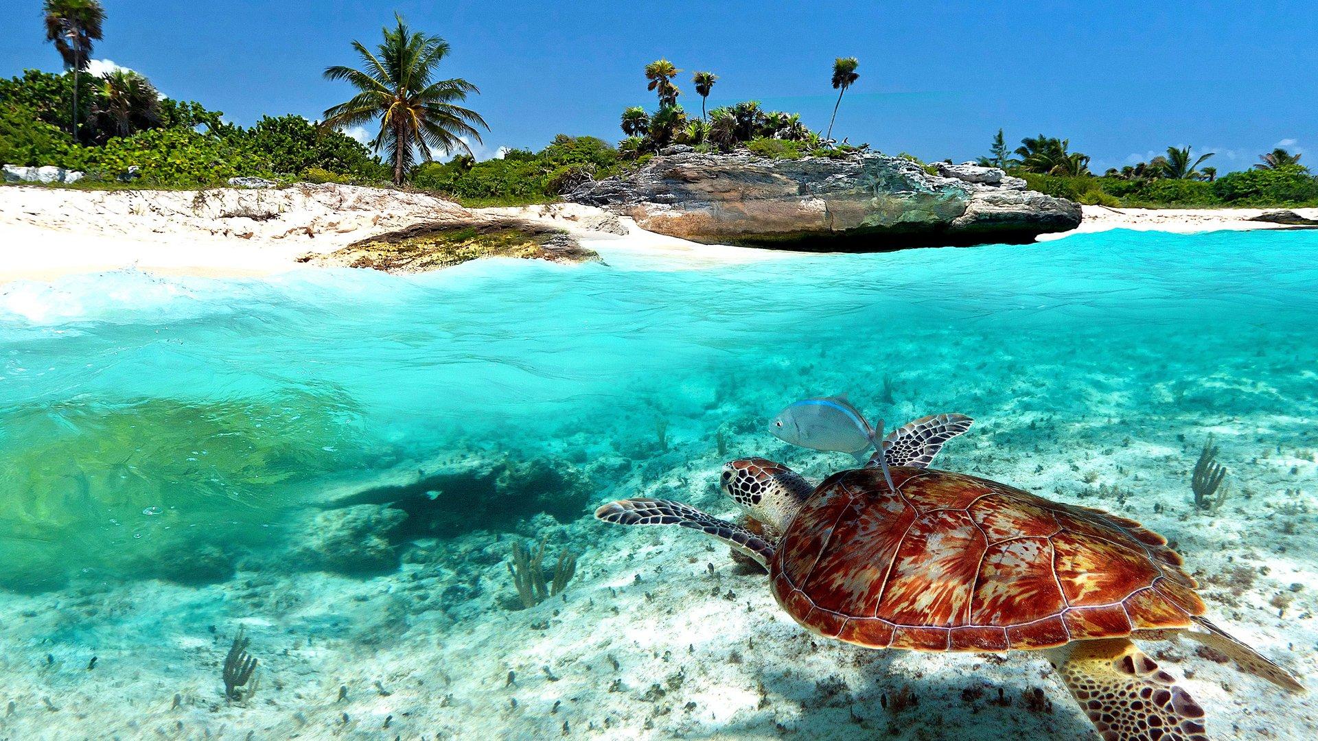 1920x1080 Riviera Maya Wallpaper
