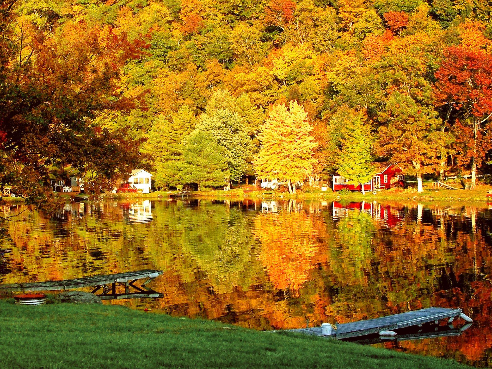 Fall scenes. Парк осень Вермонт. Осенний город. Осень в городе. Ранняя осень в городе.
