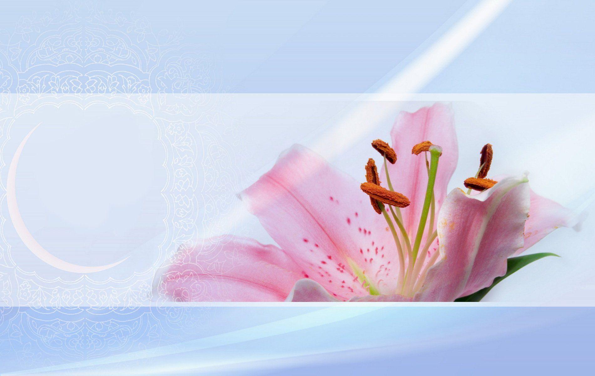 1900x1200 Flower Wallpaper and Background Imagex1200