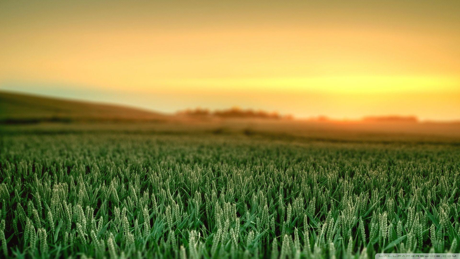 1920x1080 elementary OS morning Ultra HD Desktop Background Wallpaper for 4K