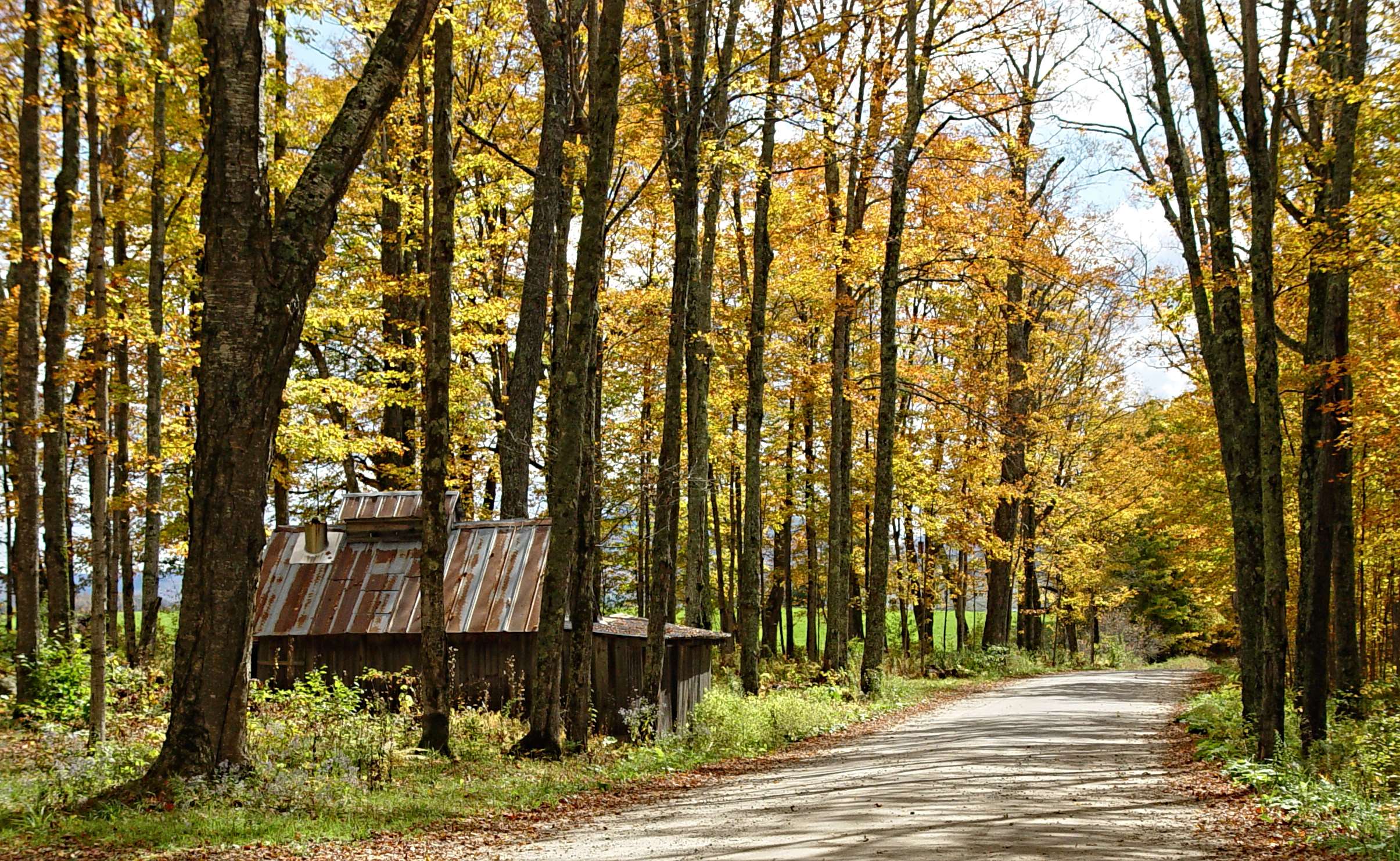 2410x1482 autumn, autumn leaves, country, countryside, environment, fall