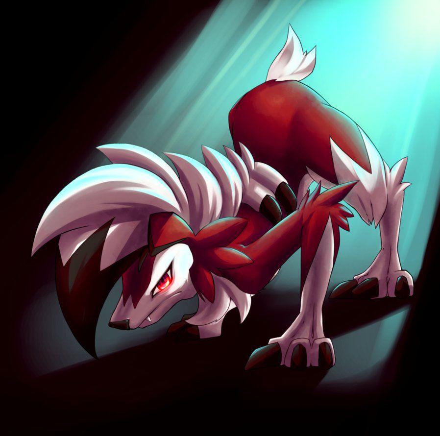 898x890 Lycanroc Midnight Wallpaper