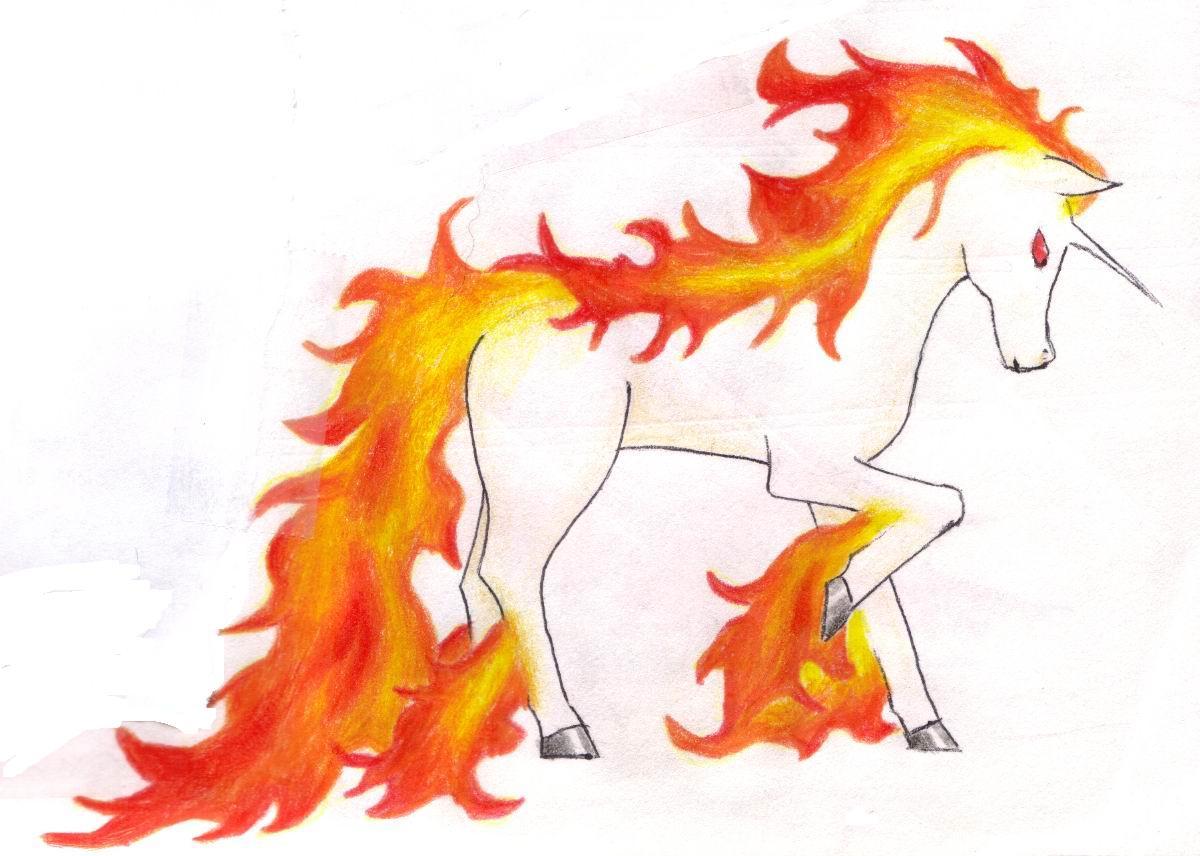 rapidash teddy