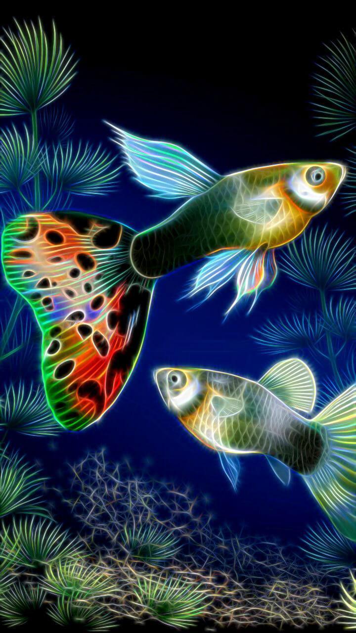 720x1280 Neon Animal HD Wallpaper for Android