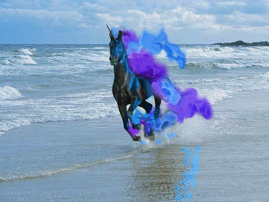 1024x768 Ponyta Wallpaper. Ponyta Wallpaper