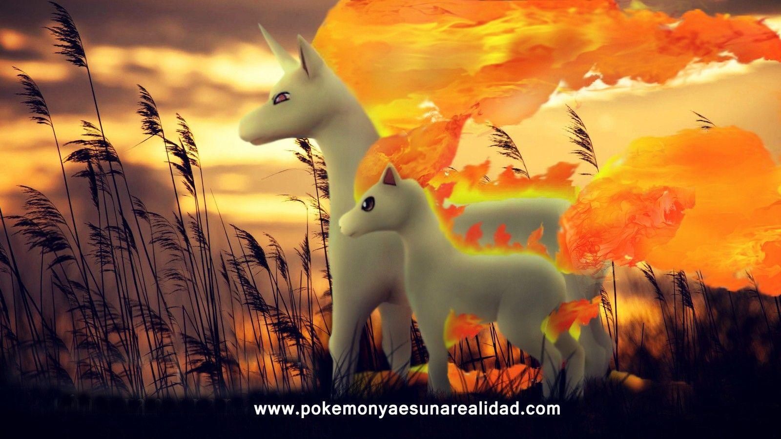 rapidash teddy