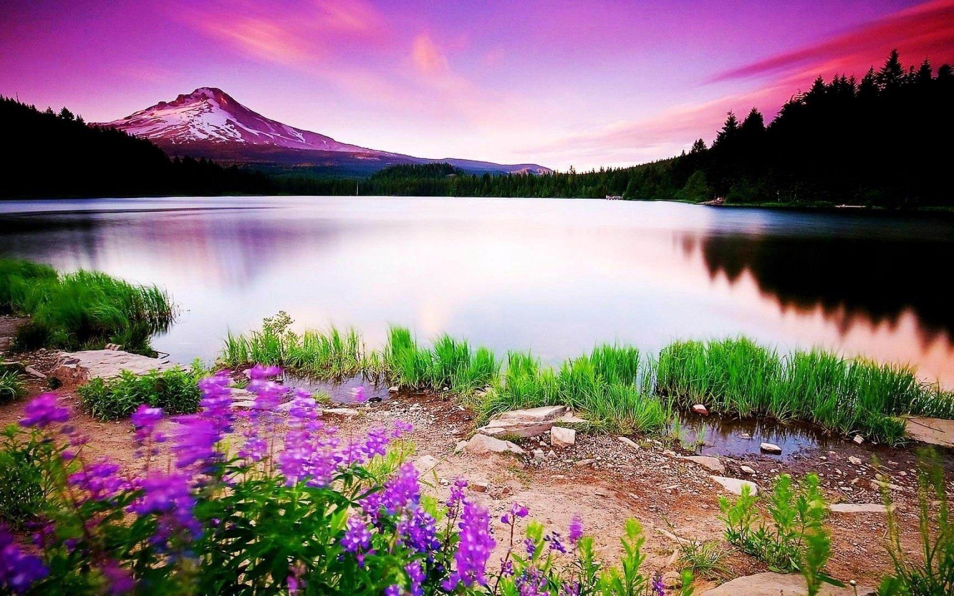 1920x1200 Beauty Of Nature Image