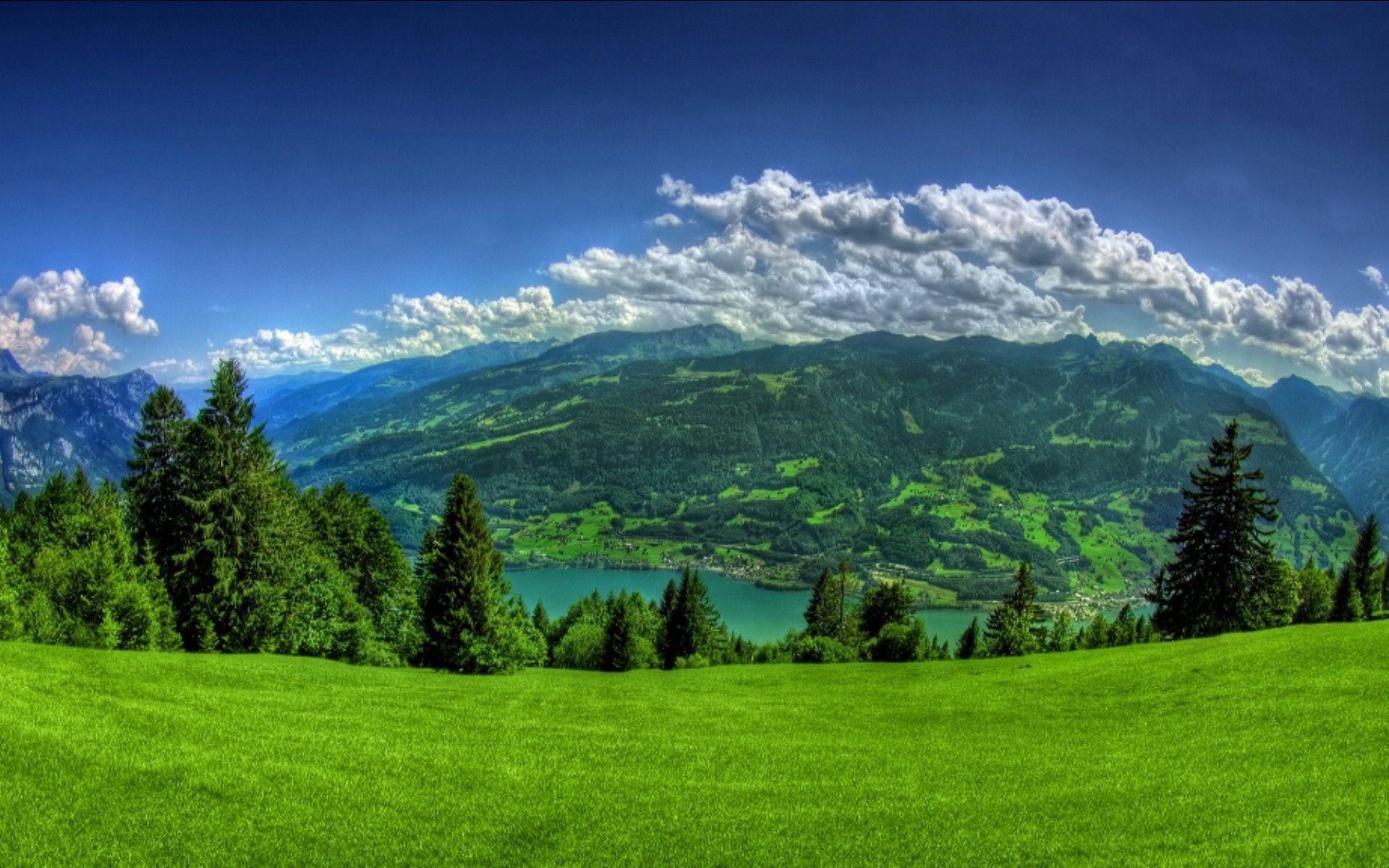 1920x1200 Background Mountain Blue Sky Forest Background Tumblr On HD