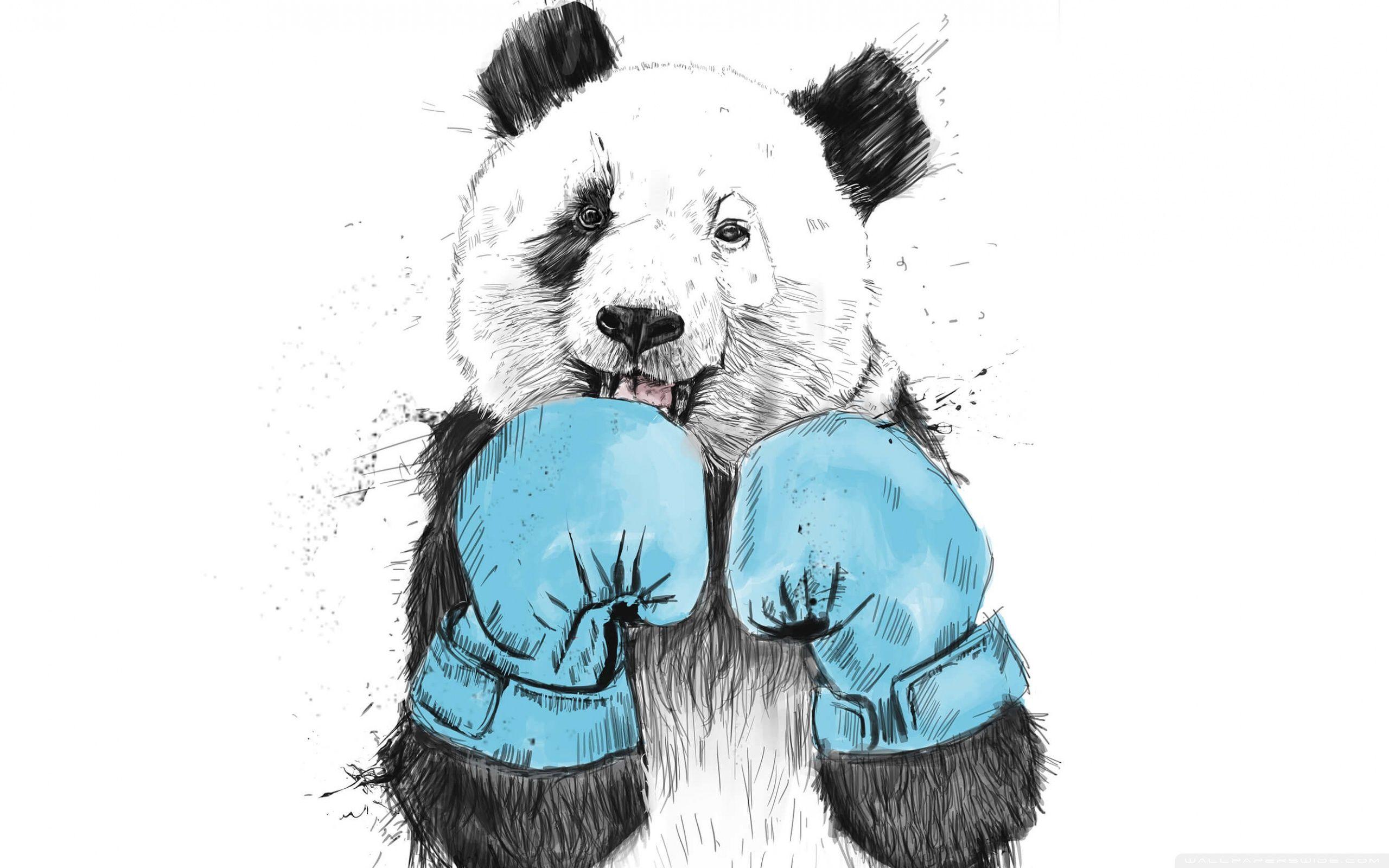 2560x1600 Minimalist Panda Ultra HD Desktop Background Wallpaper for 4K UHD