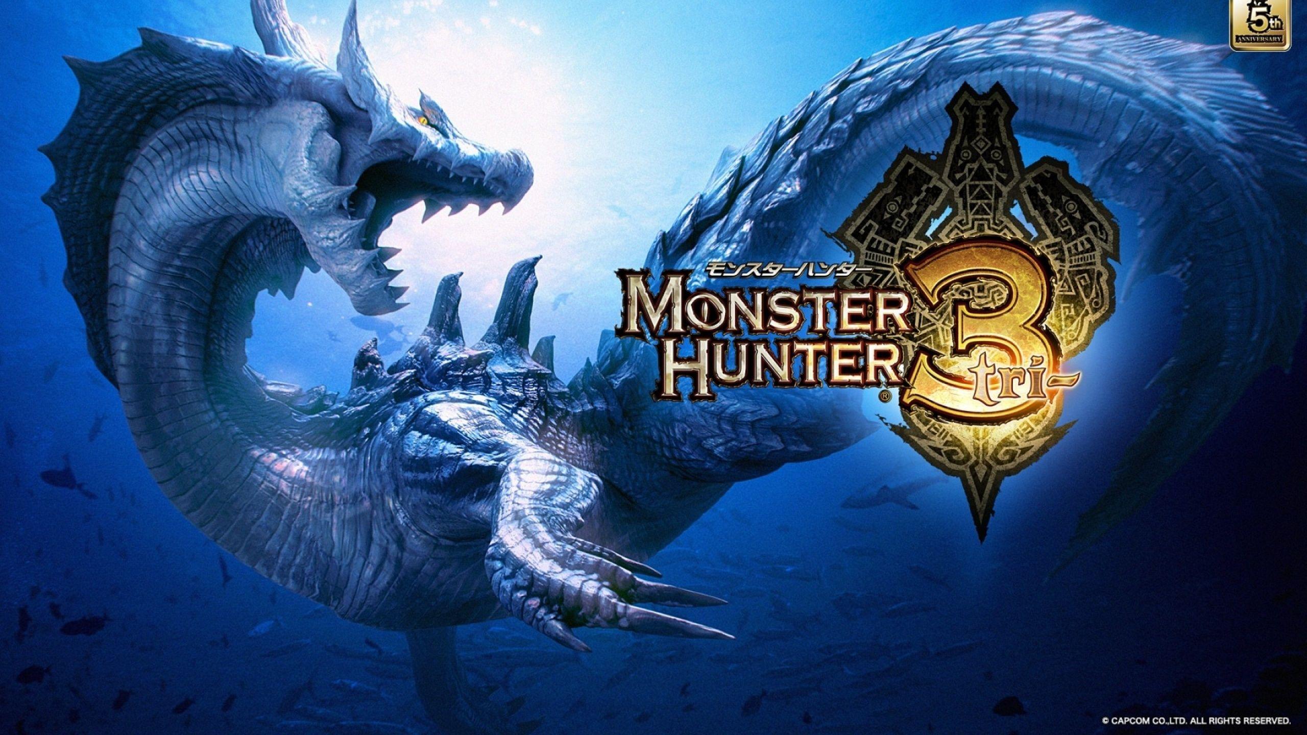 2560x1440 Monster Hunter: Tri desktop PC and Mac wallpaper