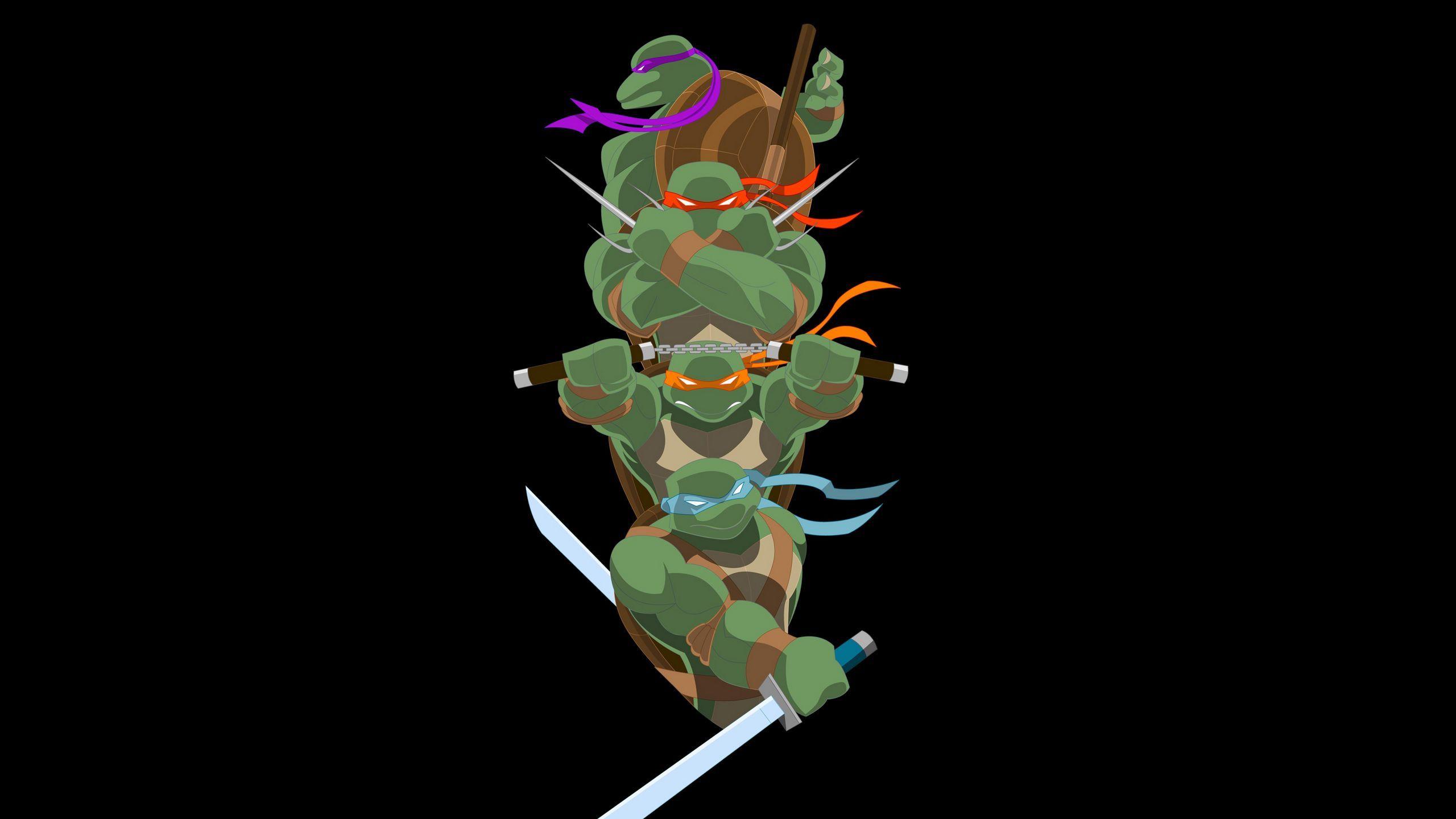 2560x1440 Download wallpaper 2560x1440 teenage mutant ninja turtles, turtles