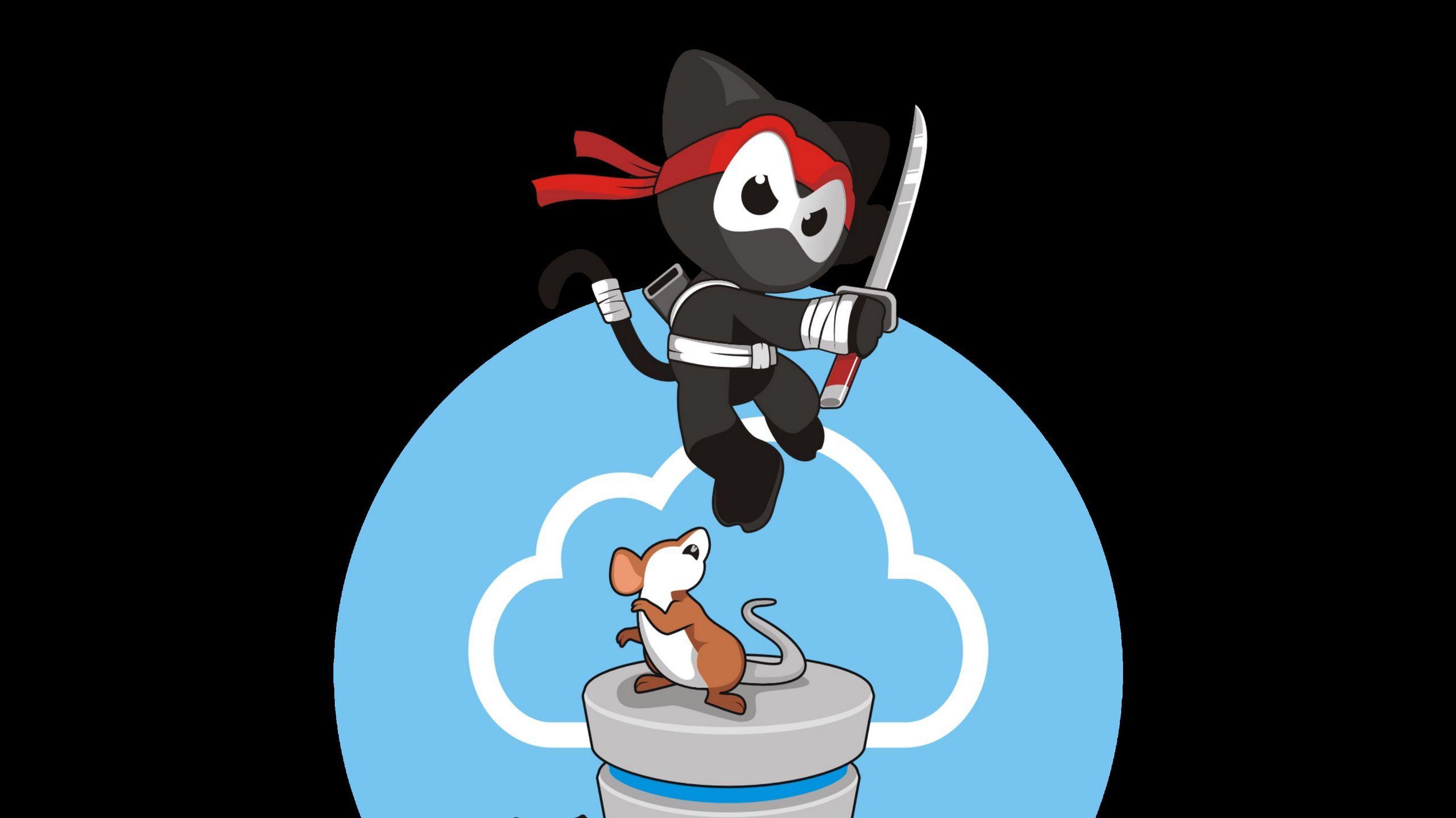 2560x1440 Download wallpaper 2560x1440 ninja, cat, mouse, vector widescreen