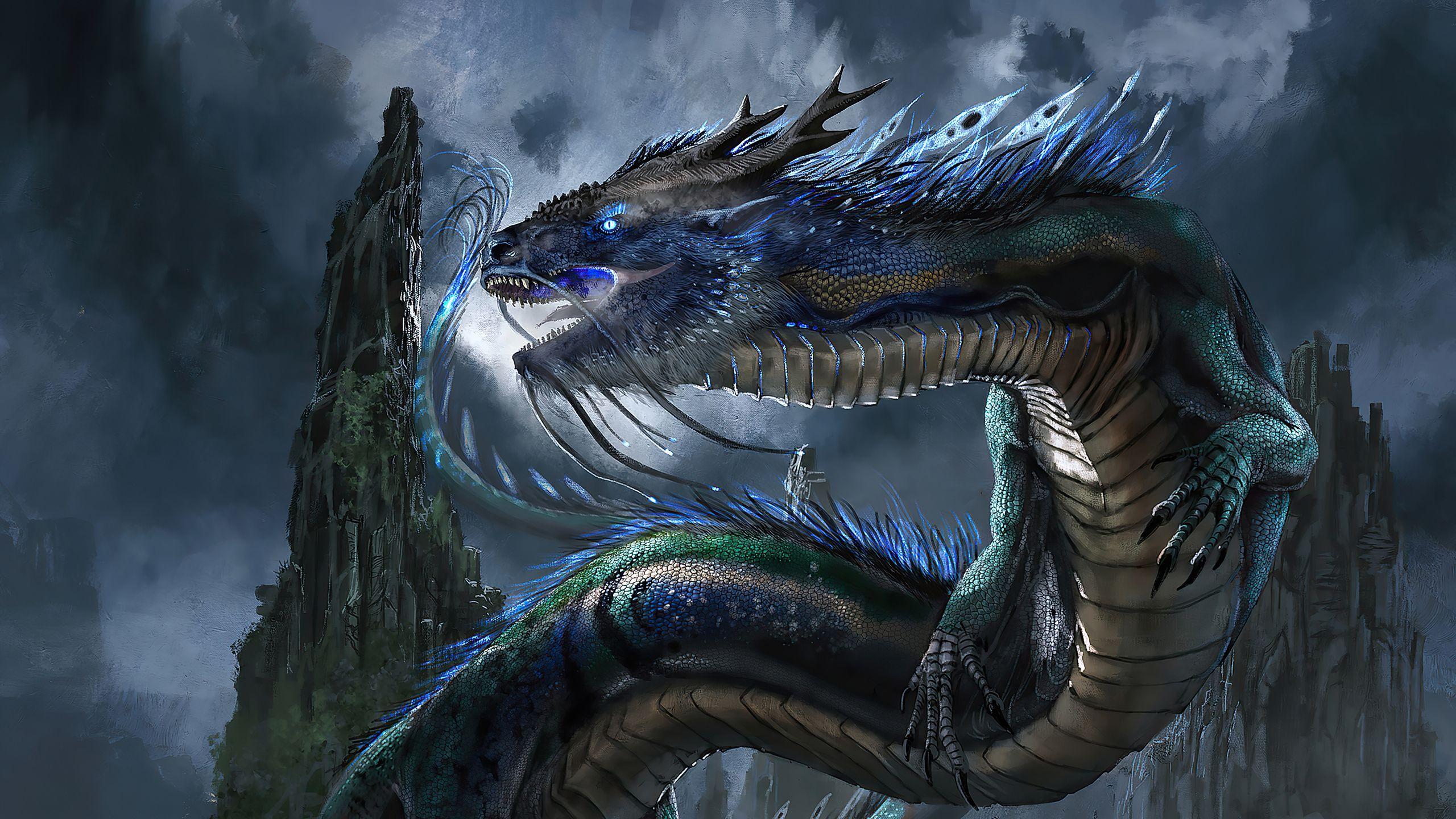 2560X1440 Dragon Wallpapers - Top Free 2560X1440 Dragon Backgrounds -  WallpaperAccess