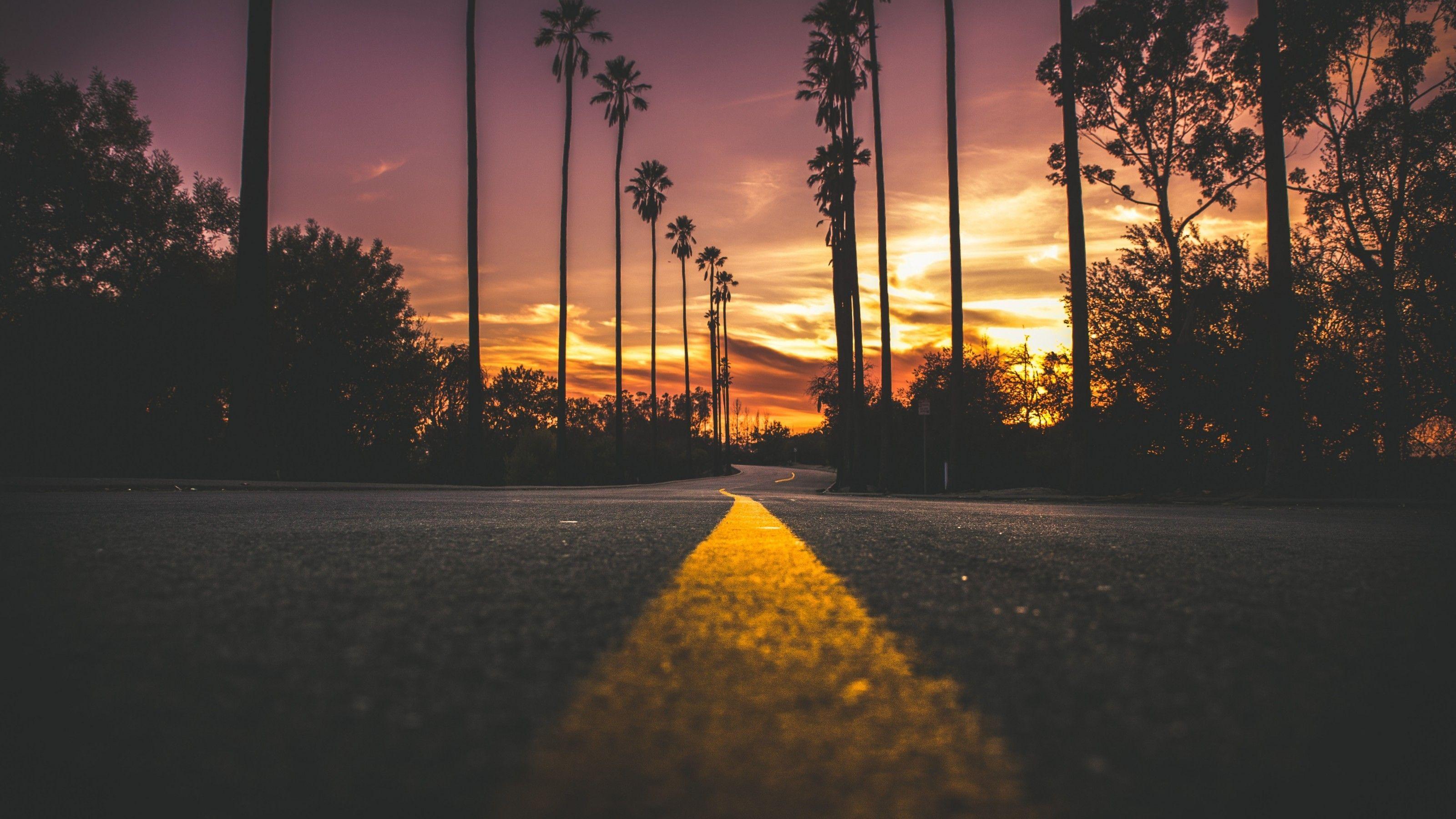 3200x1800 Download 3200x1800 Sunset, Dawn, Road, Scenic, Trees, Travel