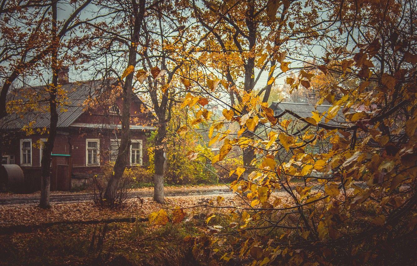 1332x850 Wallpaper autumn, leaves, trees, yellow, house, yellow, village