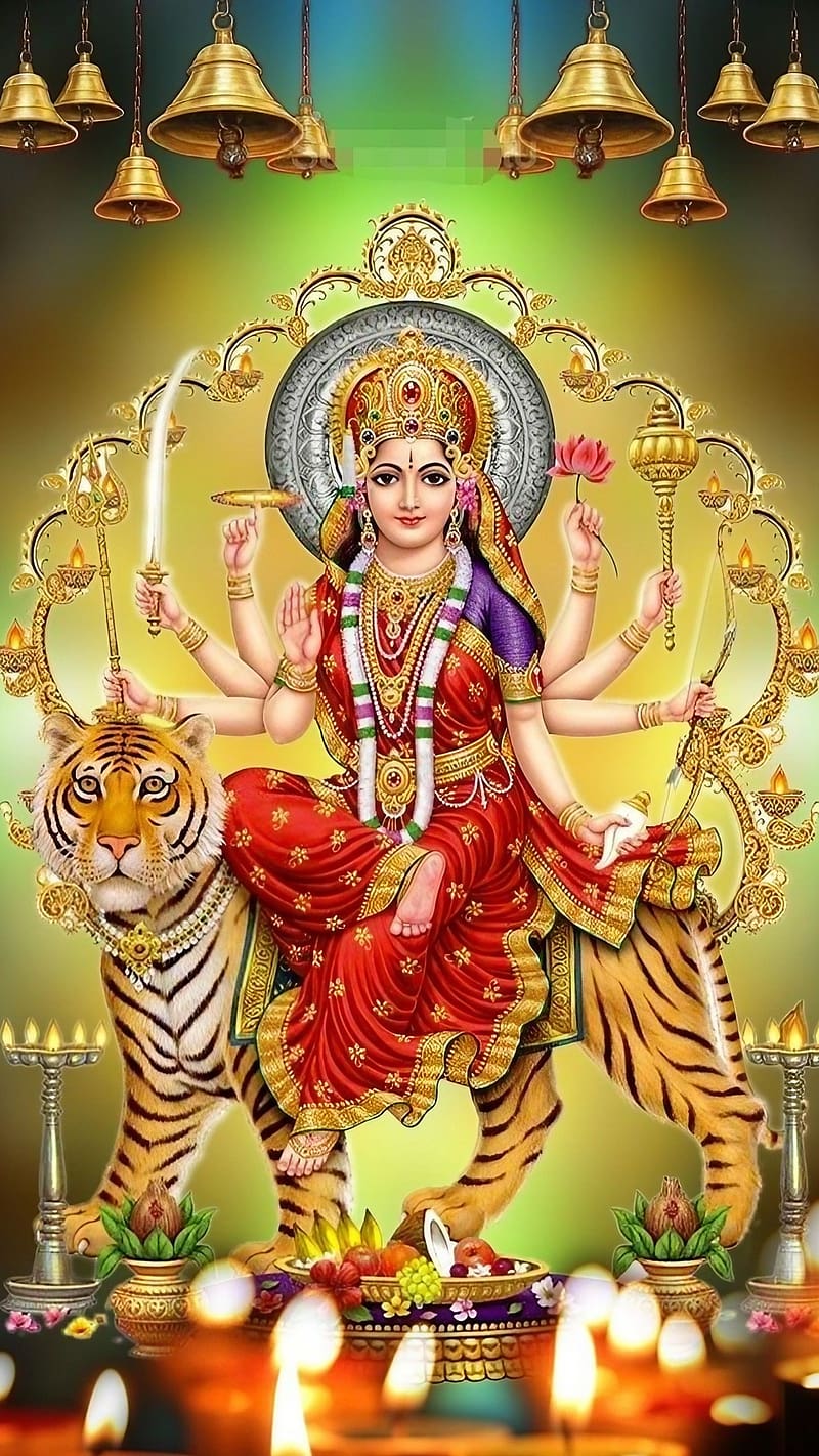 800x1422 Durga Mata Ka, Maa Durga Sitting On Tiger, goddess, devi maa, HD phone wallpaper