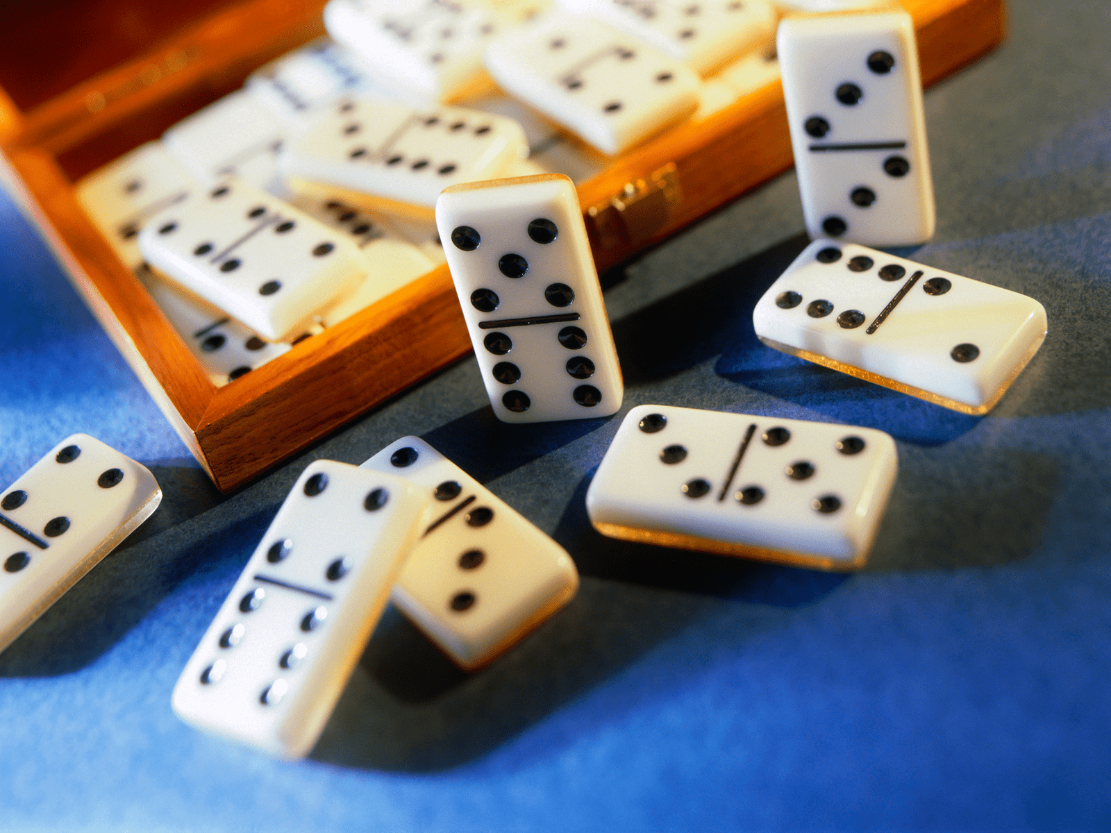 Domino Wallpapers Top Free Domino Backgrounds WallpaperAccess