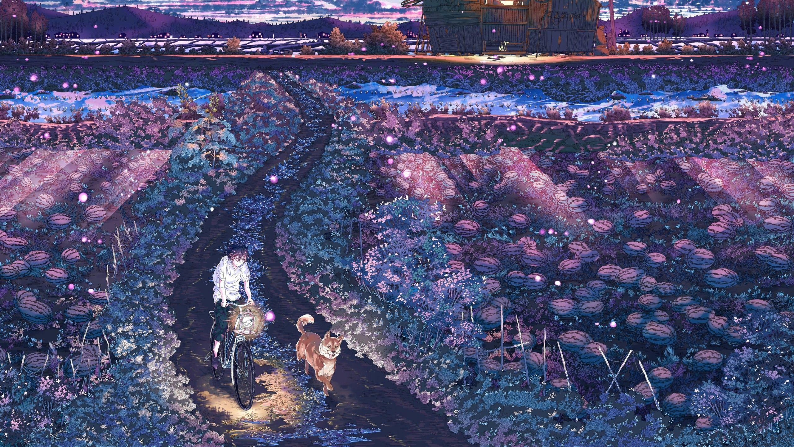 2560x1440 summer, Field, Bicycle, Dog, Landscape, Anime, Watermelons