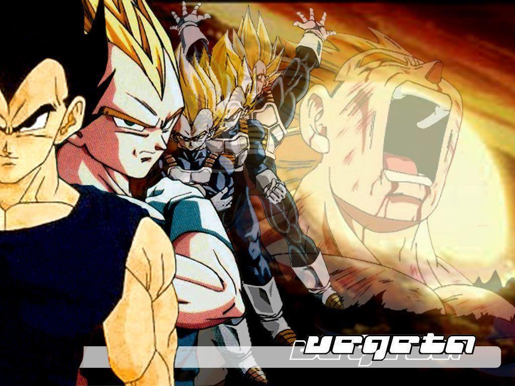 1024x768 Vegeta Background