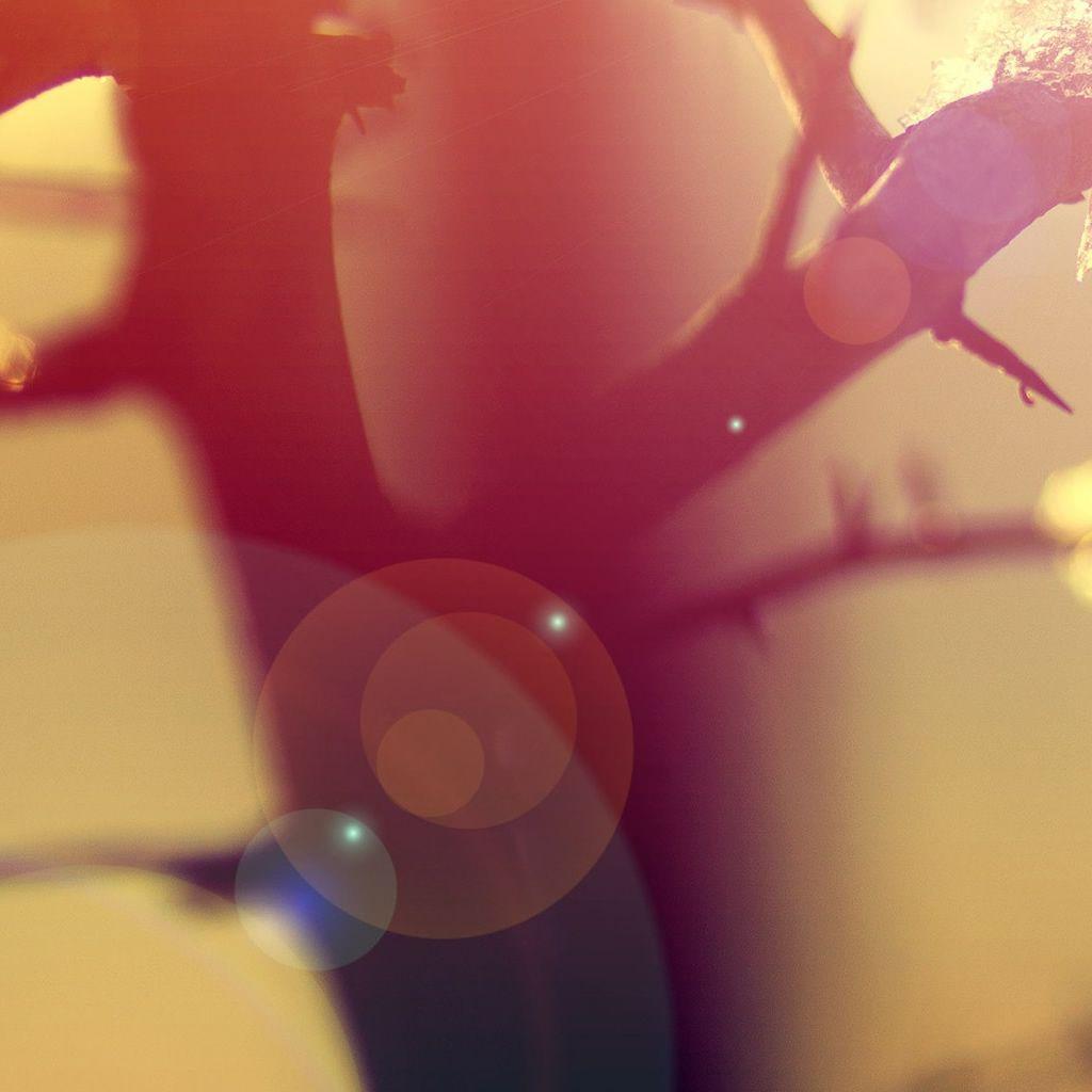 1024x1024 Winter Sunlight Lens Flare iPad Wallpaper Free Download