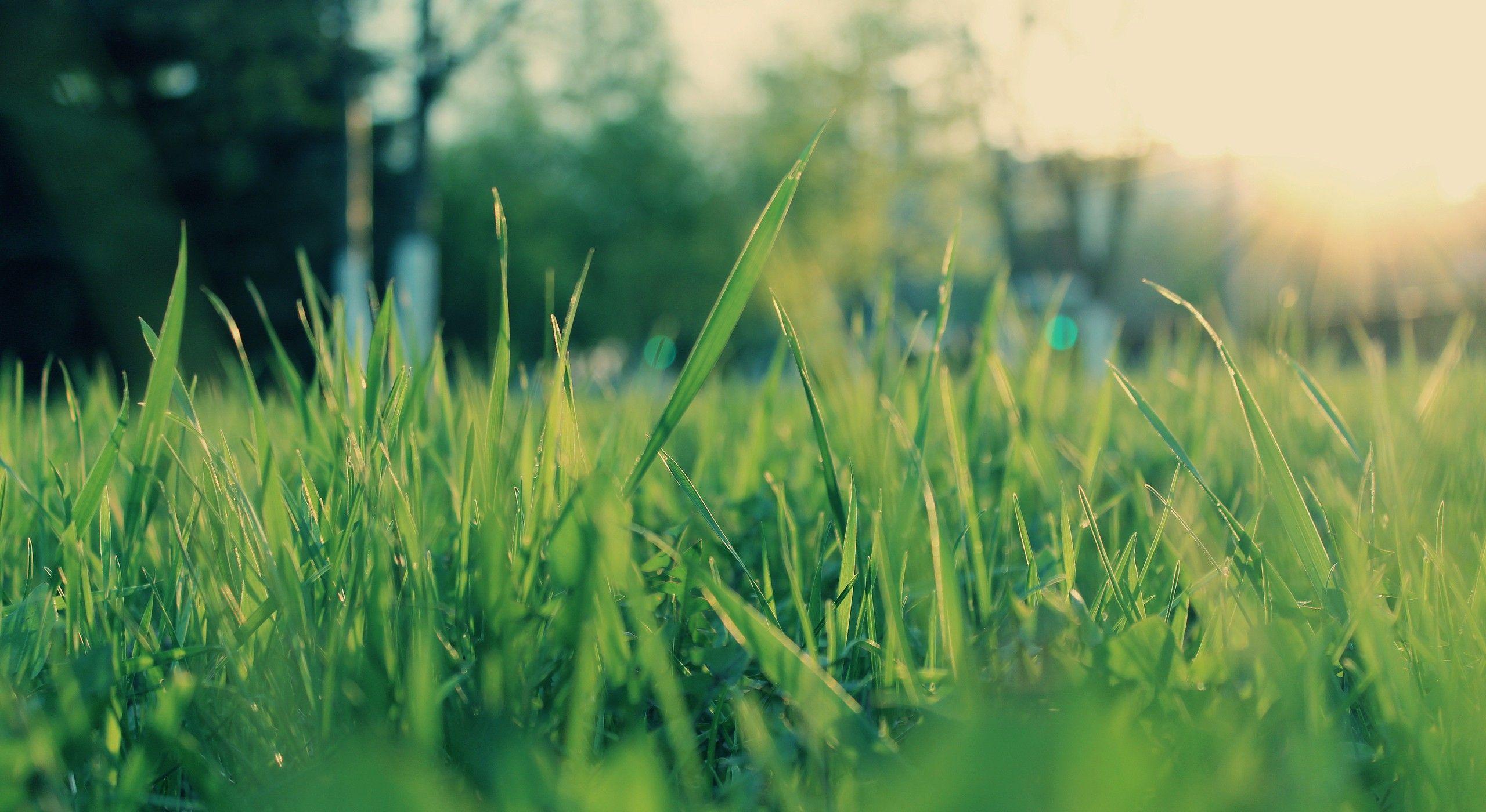 2560x1400 2560X1400 Wallpaper. Wallpaper 2560X1400